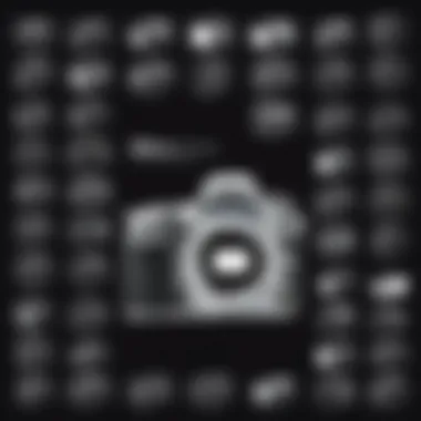 Magnificent Comprehensive Guide to Nikon D3300 Camera Cases