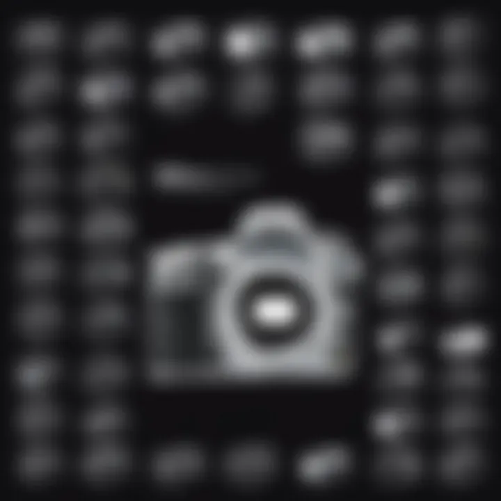 Magnificent Comprehensive Guide to Nikon D3300 Camera Cases