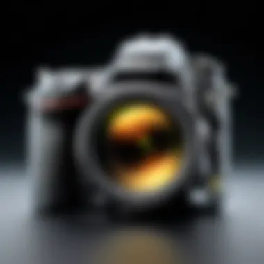 Magnificent Exploring the Nikon D850: A Comprehensive Analysis Magnificent Exploring the Nikon D850: A Comprehensive Analysis