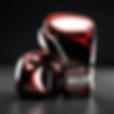 Magnificent In-Depth Analysis of Ringside 12 Oz Boxing Gloves Magnificent In-Depth Analysis of Ringside 12 Oz Boxing Gloves