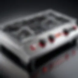 An In-Depth Examination of the Camp Chef Ranger 2 Burner Stove Introduction