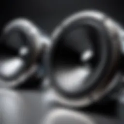 An In-Depth Exploration of Rockford Fosgate P165 Speakers Introduction