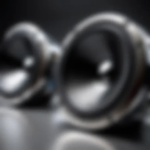 An In-Depth Exploration of Rockford Fosgate P165 Speakers Introduction