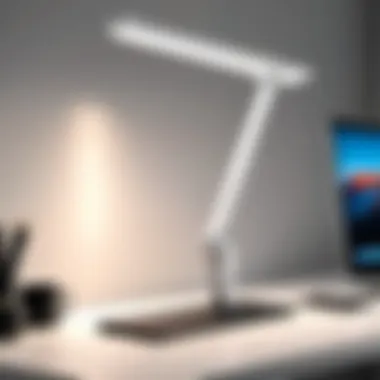 Adjustable desk light showcasing versatility