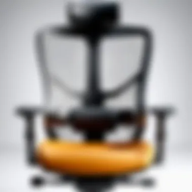 Ergonomic Design Features Ergonomic design features highlighted in an office chair