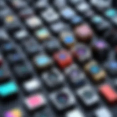 A vibrant comparison of various types of BYOB camera inserts arranged aesthetically.