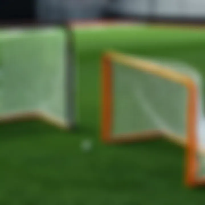 Comparison of various Net Playz lacrosse goal models