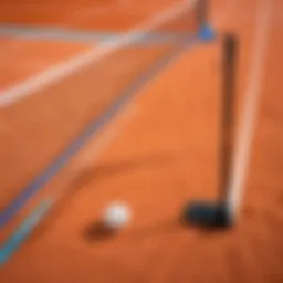 Portable volleyball badminton net set up in an outdoor field