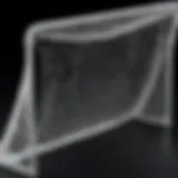 Overview of a Net Playz lacrosse goal showcasing its sturdy design