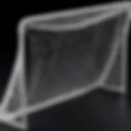 Overview of a Net Playz lacrosse goal showcasing its sturdy design