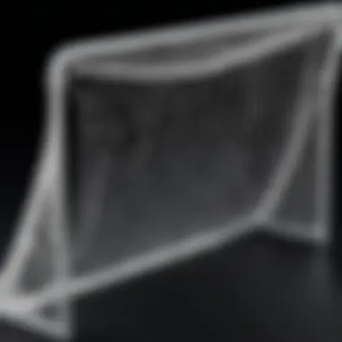 Overview of a Net Playz lacrosse goal showcasing its sturdy design