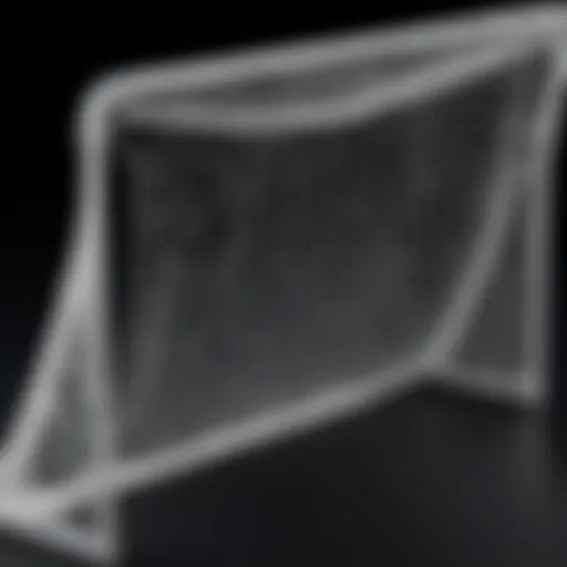 Overview of a Net Playz lacrosse goal showcasing its sturdy design