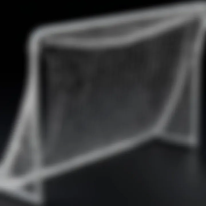 Overview of a Net Playz lacrosse goal showcasing its sturdy design