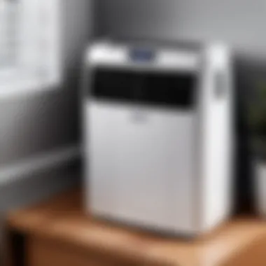 Maintenance tips for Delonghi Portable Air Conditioner