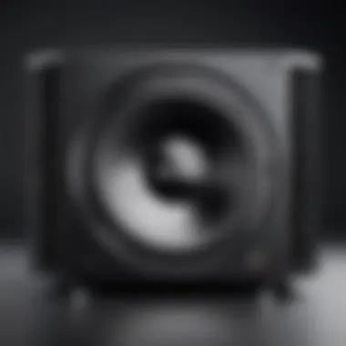 Showcasing a High-Quality Subwoofer High-quality subwoofer showcased in a vehicle