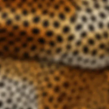 Close-up of animal print fabric showcasing texture and design