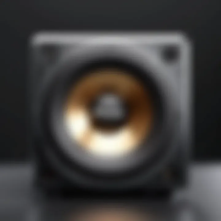 Visual representation of subwoofer specifications and features