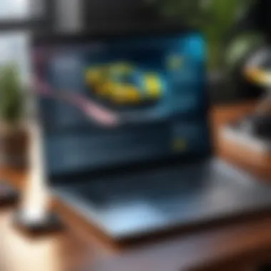 A legal document discussing risks associated with sweepstakes