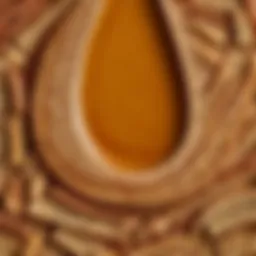Close-up of L'Oreal Cinnamon Toast product displaying its rich texture