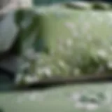 Elegant sage green floral bedding with intricate patterns