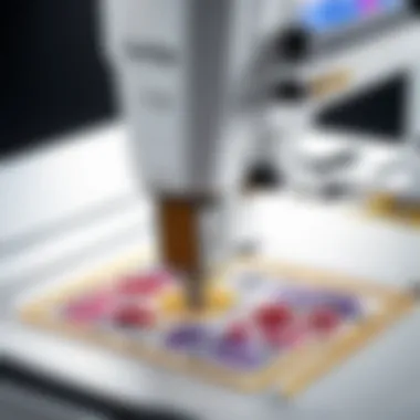 Notable Exploring the Brother PE800 5x7 Embroidery Machine