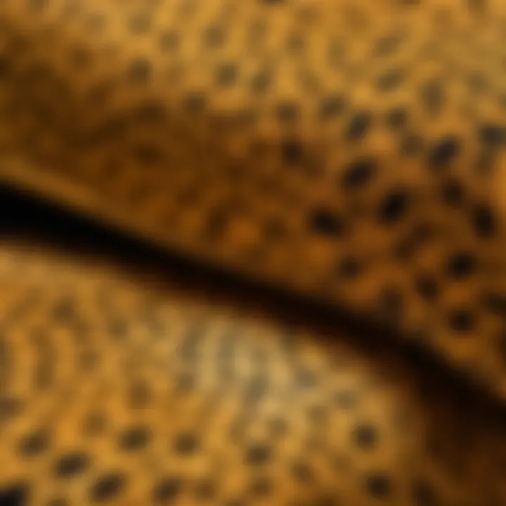 Close-up of fabric texture of cheetah print bedding