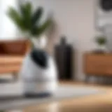 Elegant design of Rabbit Air MinusA2 purifier in a modern living room