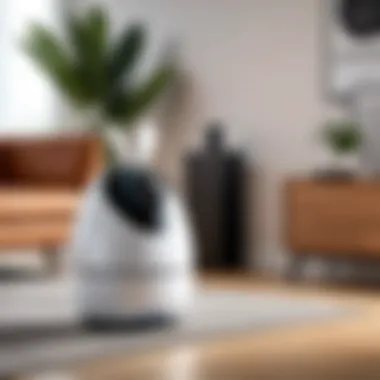 Elegant Design of Rabbit Air MinusA2 Elegant design of Rabbit Air MinusA2 purifier in a modern living room