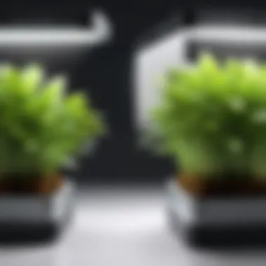 Comparison of plant growth with and without Sansi lighting