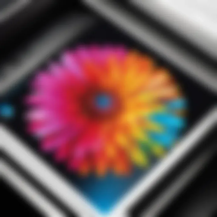 Prints made on HP LaserJet glossy photo paper highlighting vibrant colors