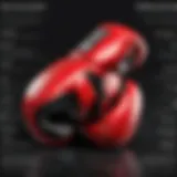 In-Depth Analysis of Ringside 12 Oz Boxing Gloves Introduction