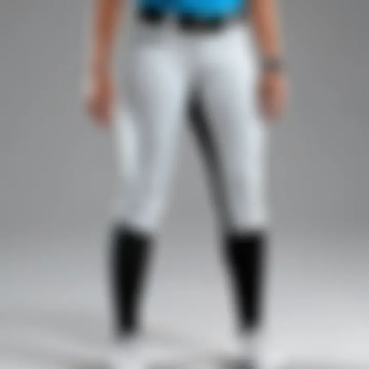 Comparison chart of features and specifications of Intensity Brand softball pants.