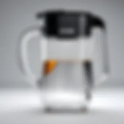 Elegant design of the Ninja pitcher showcasing its sleek contours and functionality