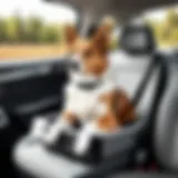 A pet comfortably seated in a car with a seat extender