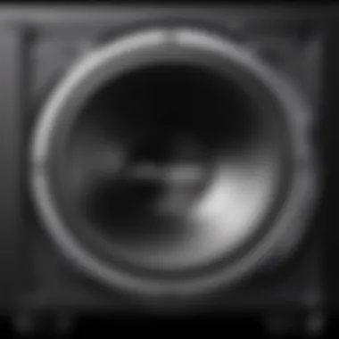 Detailed view of the Pioneer Shallow Subwoofer 10 specifications