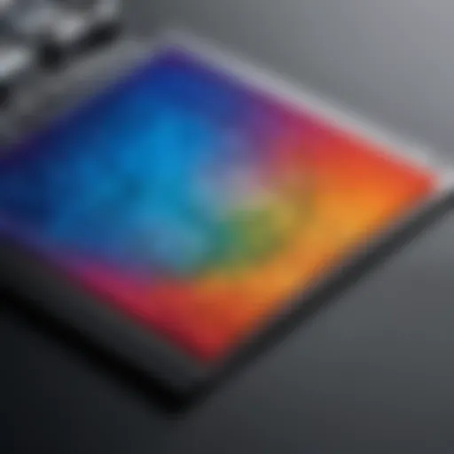 Close-up of a matte photo print showcasing texture and color depth