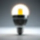 The E26 12 Volt LED Bulb: A Comprehensive Guide Introduction