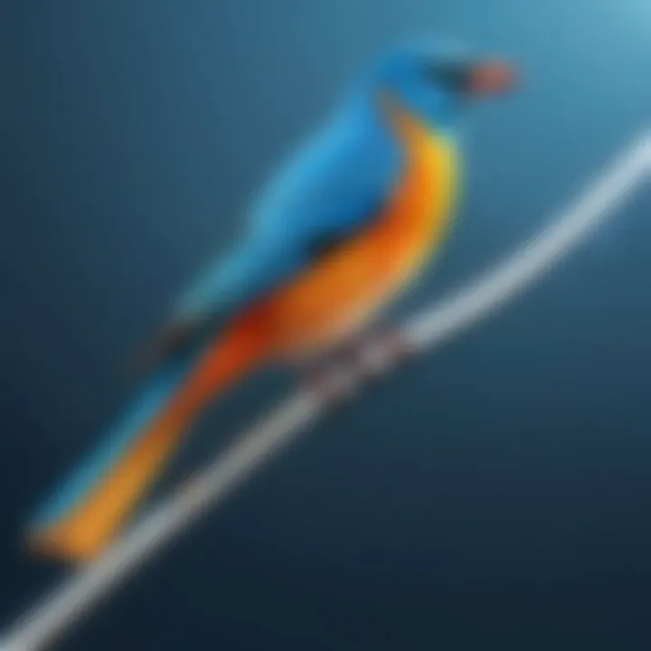 Close-up of a bird scare rod reflecting sunlight to scare away birds