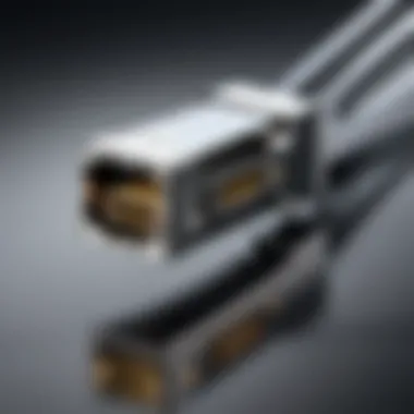 DisplayPort Connector Features Close-up view of a DisplayPort connector highlighting its unique features