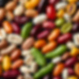 A variety of beans showcasing their colors and shapes