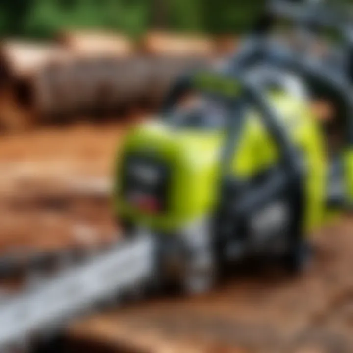 Visual comparison of different Ryobi chainsaw chains highlighting compatibility features