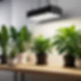 High-tech Sansi plant lighting system illuminating a lush indoor garden