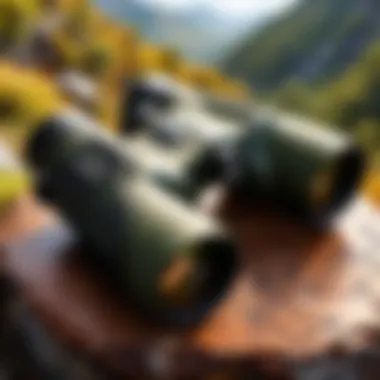 Vortex Diamondback HD in a Scenic Outdoor Setting Vortex Diamondback HD 8 x 42 binoculars in outdoor setting with scenic background
